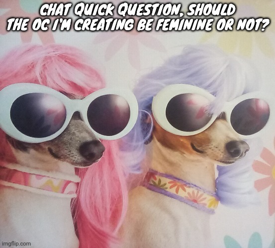 Groovy dawgs | CHAT QUICK QUESTION, SHOULD THE OC I'M CREATING BE FEMININE OR NOT? | image tagged in groovy dawgs | made w/ Imgflip meme maker