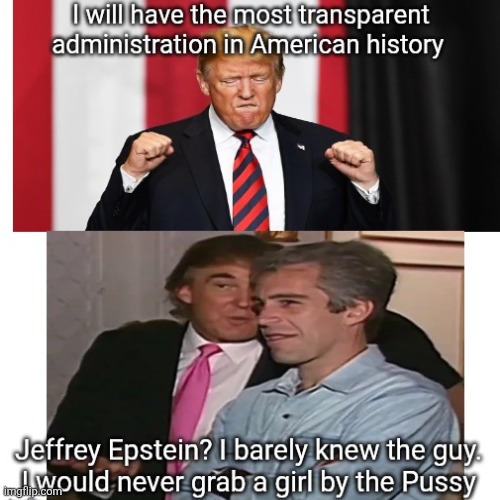 Trump is innocence of everything Trump brags about | image tagged in trump,maga,guilty of grabbing kittens,epstein files trump in them,cover up | made w/ Imgflip meme maker