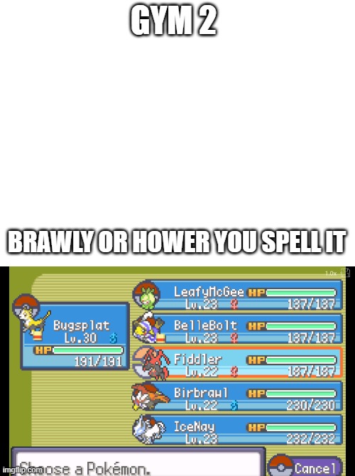 gym2 | GYM 2; BRAWLY OR HOWER YOU SPELL IT | image tagged in pokemon randomizer,gym 2 | made w/ Imgflip meme maker