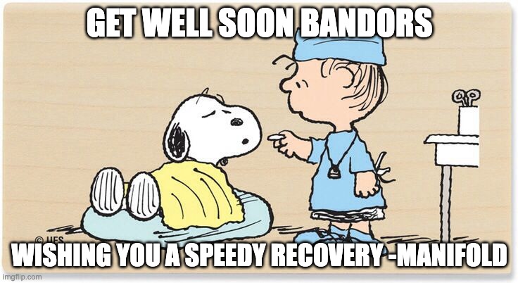 Get well soon | GET WELL SOON BANDORS; WISHING YOU A SPEEDY RECOVERY -MANIFOLD | image tagged in get well soon | made w/ Imgflip meme maker