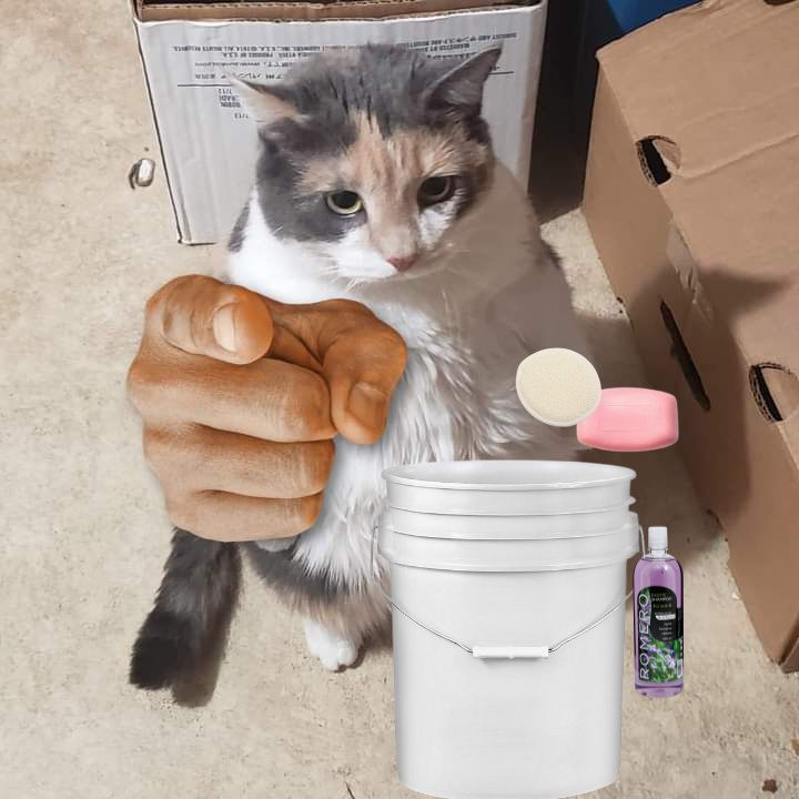 Te vas a bañar Blank Meme Template