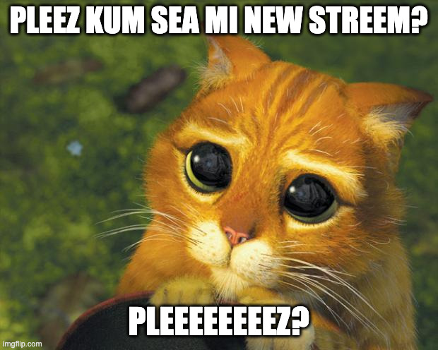 M | PLEEZ KUM SEA MI NEW STREEM? PLEEEEEEEEZ? | image tagged in puss in boots | made w/ Imgflip meme maker