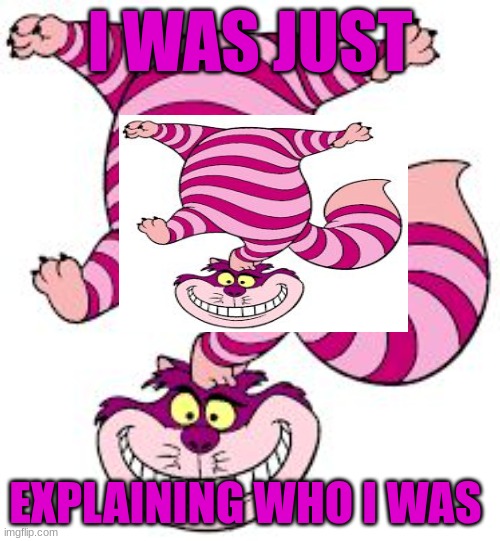 Chesire cat | I WAS JUST; EXPLAINING WHO I WAS | image tagged in chesire cat | made w/ Imgflip meme maker