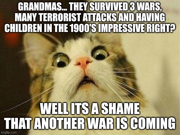 noooooooooo | GRANDMAS... THEY SURVIVED 3 WARS, MANY TERRORIST ATTACKS AND HAVING CHILDREN IN THE 1900'S IMPRESSIVE RIGHT? WELL ITS A SHAME THAT ANOTHER WAR IS COMING | image tagged in memes,scared cat | made w/ Imgflip meme maker