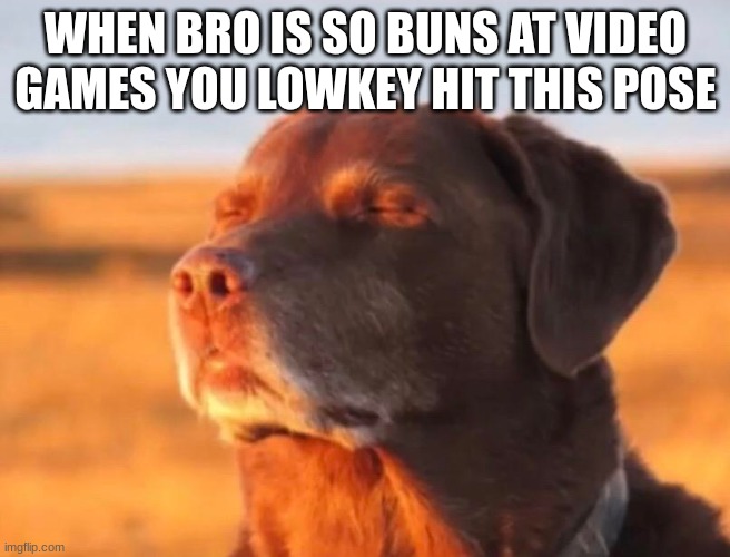 But he somehow becomes the best player known to man for like 6 seconds | WHEN BRO IS SO BUNS AT VIDEO GAMES YOU LOWKEY HIT THIS POSE | image tagged in dog accepting fate,videogames,funny,relatable | made w/ Imgflip meme maker