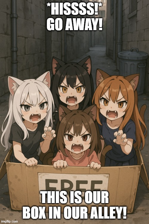 cute little hissing neko girls in acardboard box in the alley | *HISSSS!* GO AWAY! THIS IS OUR BOX IN OUR ALLEY! | image tagged in cute little hissing neko girls in acardboard box in the alley | made w/ Imgflip meme maker
