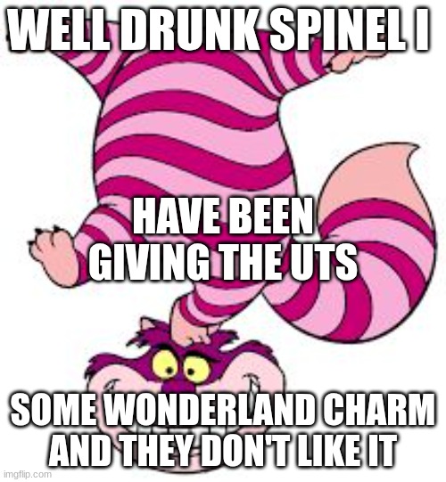 thank you to redlegomonkey | WELL DRUNK SPINEL I; HAVE BEEN GIVING THE UTS; SOME WONDERLAND CHARM AND THEY DON'T LIKE IT | image tagged in chesire cat | made w/ Imgflip meme maker