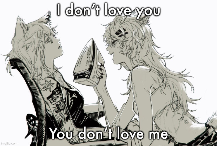 dude gonna get ironed by lappland | I don’t love you; You don’t love me | image tagged in dude gonna get ironed by lappland | made w/ Imgflip meme maker