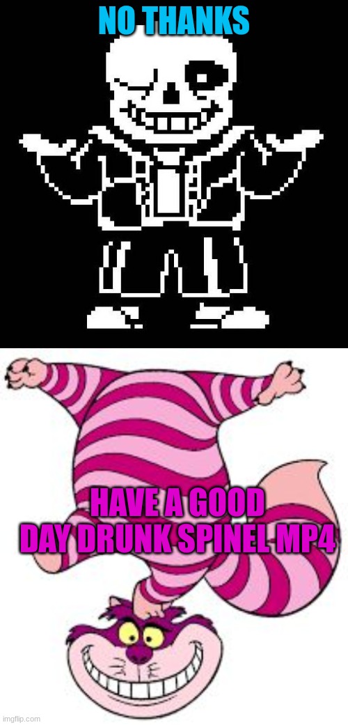 NO THANKS; HAVE A GOOD DAY DRUNK SPINEL MP4 | image tagged in sans undertale,chesire cat | made w/ Imgflip meme maker