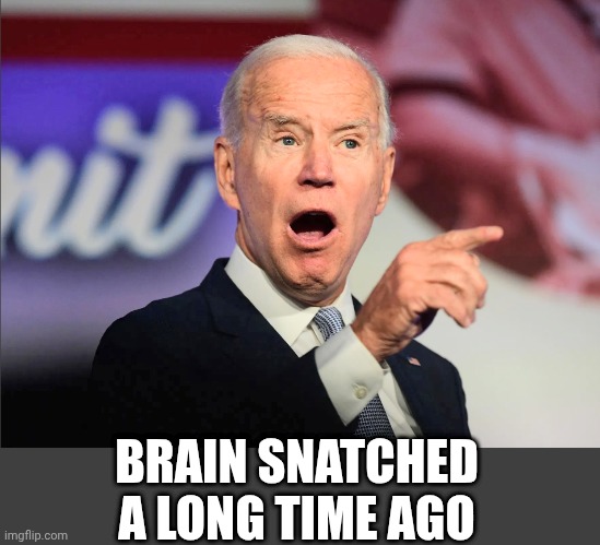 BRAIN SNATCHED A LONG TIME AGO | made w/ Imgflip meme maker