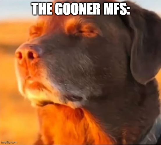 Im cooked | THE GOONER MFS: | image tagged in im cooked | made w/ Imgflip meme maker