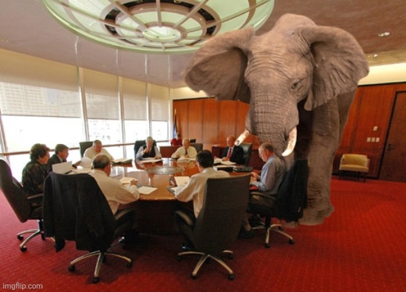 Elephant in the Room | image tagged in elephant in the room | made w/ Imgflip meme maker