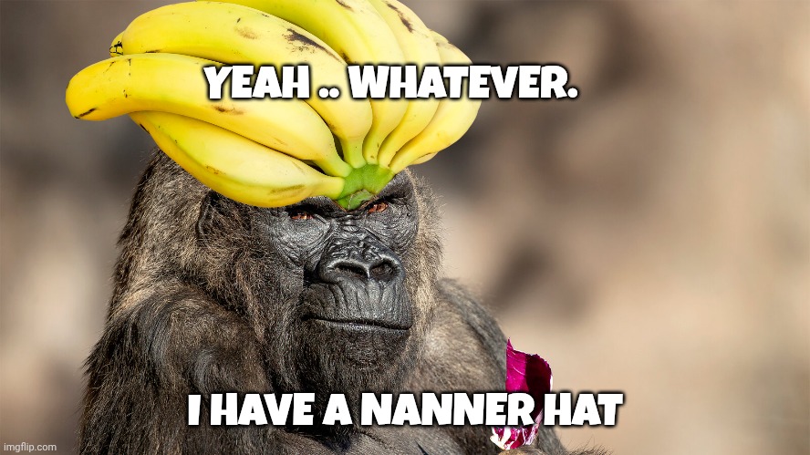 Gorilla memes | YEAH .. WHATEVER. I HAVE A NANNER HAT | image tagged in gorilla | made w/ Imgflip meme maker