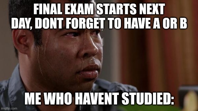 sweating bullets | FINAL EXAM STARTS NEXT DAY, DONT FORGET TO HAVE A OR B; ME WHO HAVENT STUDIED: | image tagged in sweating bullets | made w/ Imgflip meme maker