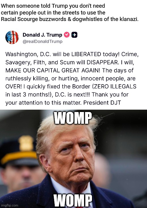 Release the Trumpstein files! | When someone told Trump you don't need certain people out in the streets to use the Racial Scourge buzzwords & dogwhistles of the klanazi. WOMP; WOMP | image tagged in stupid people | made w/ Imgflip meme maker