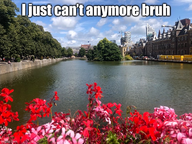 I just can’t anymore bruh | made w/ Imgflip meme maker