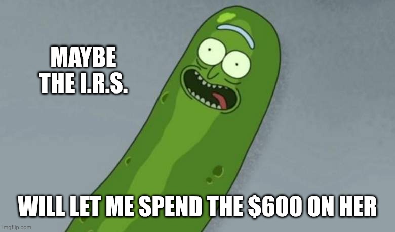Pickle rick | MAYBE THE I.R.S. WILL LET ME SPEND THE $600 ON HER | image tagged in pickle rick | made w/ Imgflip meme maker
