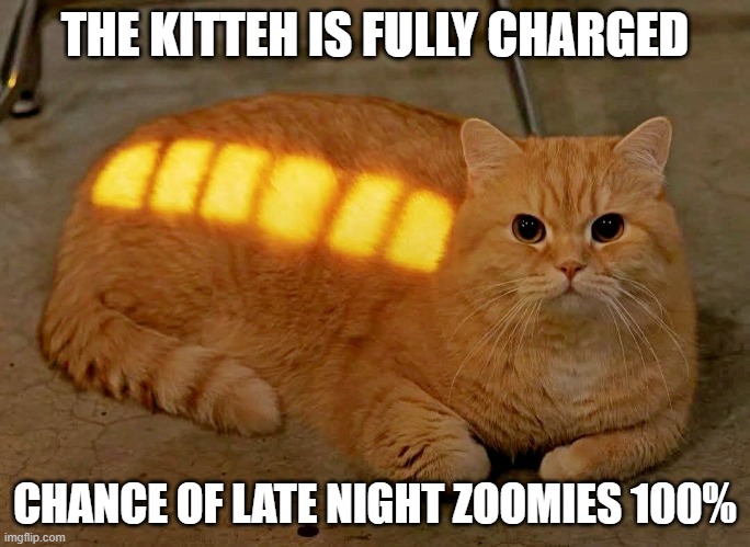 charged cat | THE KITTEH IS FULLY CHARGED; CHANCE OF LATE NIGHT ZOOMIES 100% | image tagged in charged cat | made w/ Imgflip meme maker