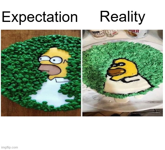 Homer Simpson vs. Gomer Dimpson | Expectation; Reality | image tagged in comparison table,memes,homer simpson,cake,fail,funny | made w/ Imgflip meme maker