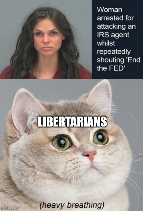 Heavy Breathing Cat Meme | LIBERTARIANS | image tagged in memes,heavy breathing cat | made w/ Imgflip meme maker