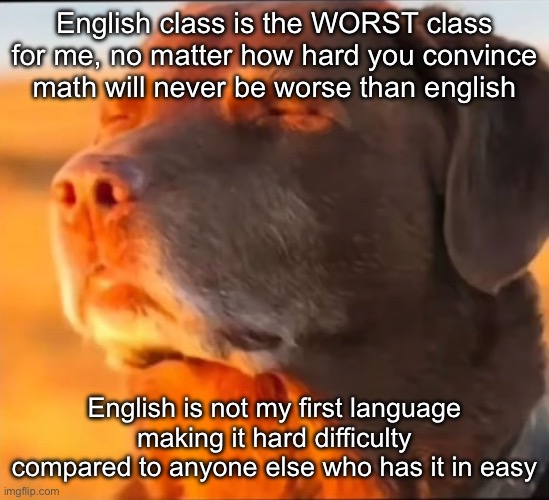 i'm cooked | English class is the WORST class for me, no matter how hard you convince math will never be worse than english; English is not my first language making it hard difficulty compared to anyone else who has it in easy | image tagged in i'm cooked,msmg | made w/ Imgflip meme maker