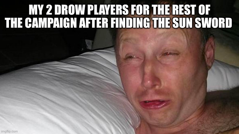 Limmy Waking Up | MY 2 DROW PLAYERS FOR THE REST OF THE CAMPAIGN AFTER FINDING THE SUN SWORD | image tagged in limmy waking up | made w/ Imgflip meme maker