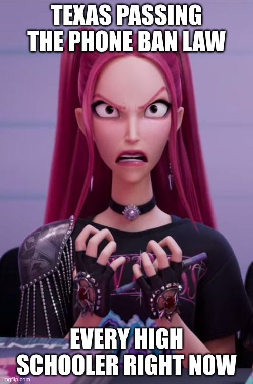 Angry Mira | TEXAS PASSING THE PHONE BAN LAW; EVERY HIGH SCHOOLER RIGHT NOW | image tagged in angry mira | made w/ Imgflip meme maker