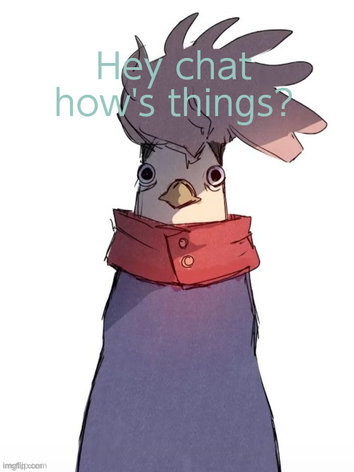 yuji chicken | Hey chat how's things? | image tagged in yuji chicken | made w/ Imgflip meme maker