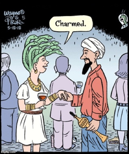 The Only One Who Didn't Turn to Stone | image tagged in vince vance,snake charmer,flute,turban,medusa,cartoon | made w/ Imgflip meme maker