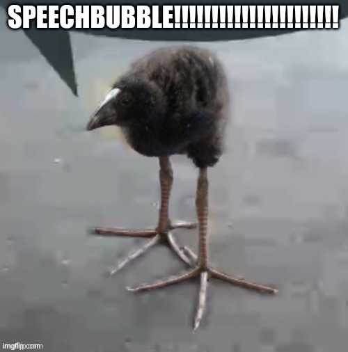 Wah wah wah wah wah wah wah wah | SPEECHBUBBLE!!!!!!!!!!!!!!!!!!!!!! | image tagged in wah wah wah wah wah wah wah wah | made w/ Imgflip meme maker