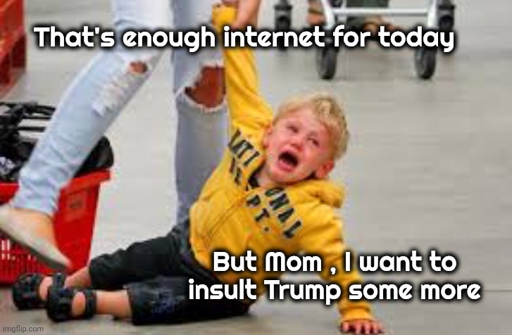 Tantrum store | That's enough internet for today But Mom , I want to insult Trump some more | image tagged in tantrum store | made w/ Imgflip meme maker