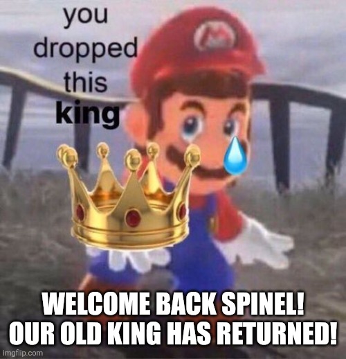 Mario you dropped this king | WELCOME BACK SPINEL! OUR OLD KING HAS RETURNED! | image tagged in mario you dropped this king | made w/ Imgflip meme maker