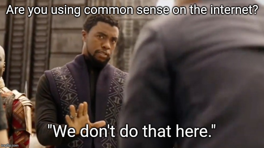 Common sense on the internet | Are you using common sense on the internet? | image tagged in we don't do that here | made w/ Imgflip meme maker