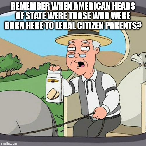 Remember, kids, colonialism and imperialism are only bad if white people do it! | REMEMBER WHEN AMERICAN HEADS OF STATE WERE THOSE WHO WERE BORN HERE TO LEGAL CITIZEN PARENTS? | image tagged in memes,pepperidge farm remembers | made w/ Imgflip meme maker