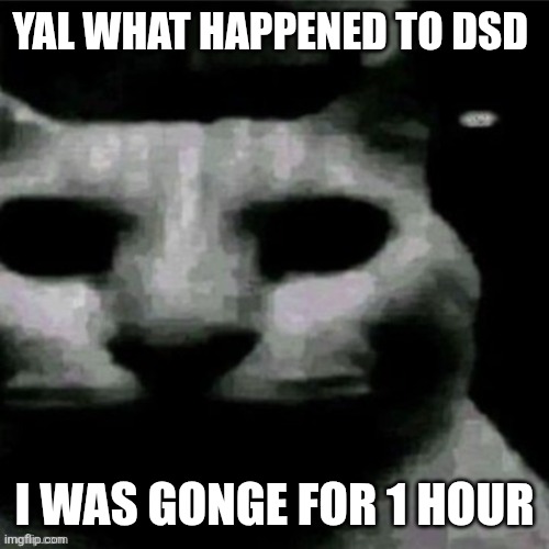 ... | YAL WHAT HAPPENED TO DSD; I WAS GONGE FOR 1 HOUR | image tagged in uncanny cat | made w/ Imgflip meme maker