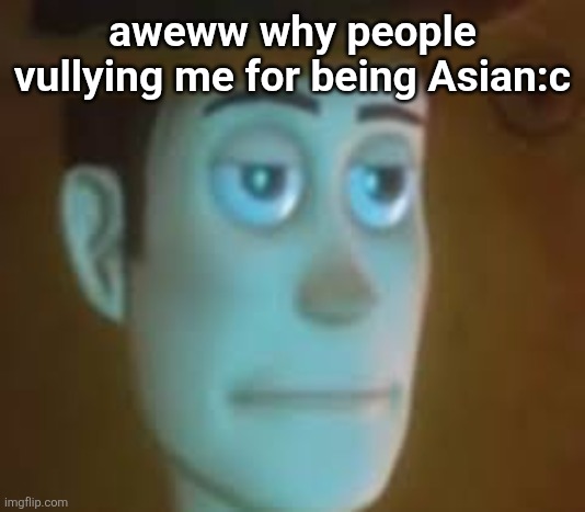 disappointed woody | aweww why people vullying me for being Asian:c | image tagged in disappointed woody | made w/ Imgflip meme maker