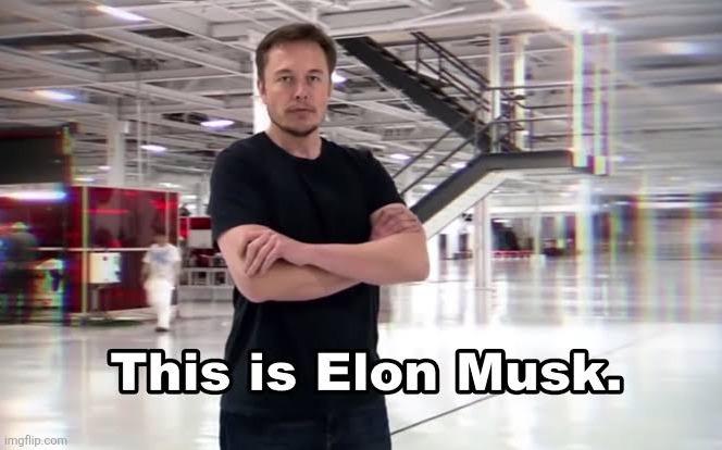 This is Elon Musk | image tagged in this is elon musk | made w/ Imgflip meme maker