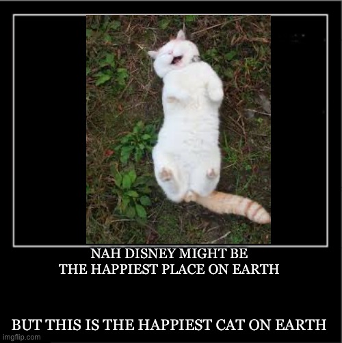 Demotivational poster | NAH DISNEY MIGHT BE THE HAPPIEST PLACE ON EARTH; BUT THIS IS THE HAPPIEST CAT ON EARTH | image tagged in demotivational poster | made w/ Imgflip meme maker