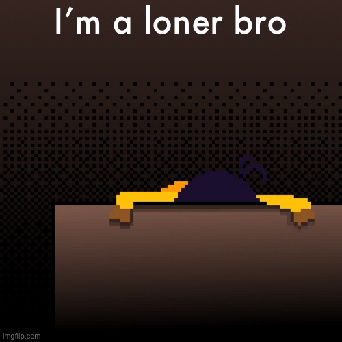 life. | I’m a loner bro | image tagged in life | made w/ Imgflip meme maker