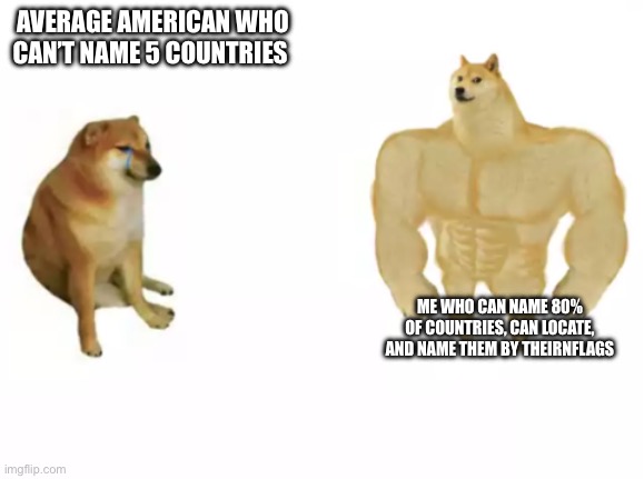 Easy | AVERAGE AMERICAN WHO CAN’T NAME 5 COUNTRIES; ME WHO CAN NAME 80% OF COUNTRIES, CAN LOCATE, AND NAME THEM BY THEIR FLAGS | image tagged in buff doge vs cheems reversed,geography | made w/ Imgflip meme maker
