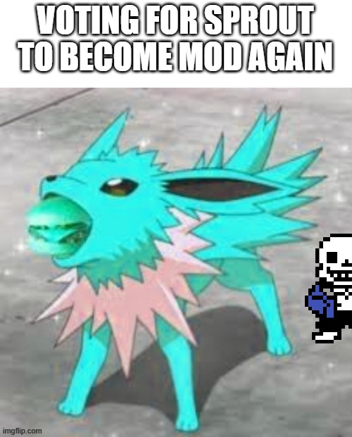 (I know he was already mod we just gotta do the vote anyway) | VOTING FOR SPROUT TO BECOME MOD AGAIN | image tagged in teal jolteon eating burger | made w/ Imgflip meme maker