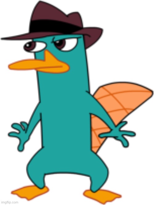 Perry the Platypus - Wikipedia | image tagged in perry the platypus - wikipedia | made w/ Imgflip meme maker