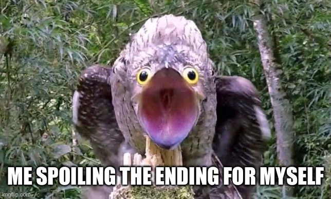O.M.G How Dare I? | ME SPOILING THE ENDING FOR MYSELF | image tagged in animals,bird | made w/ Imgflip meme maker