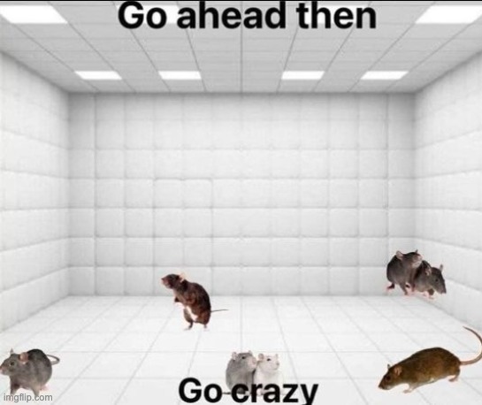 go stupid | made w/ Imgflip meme maker