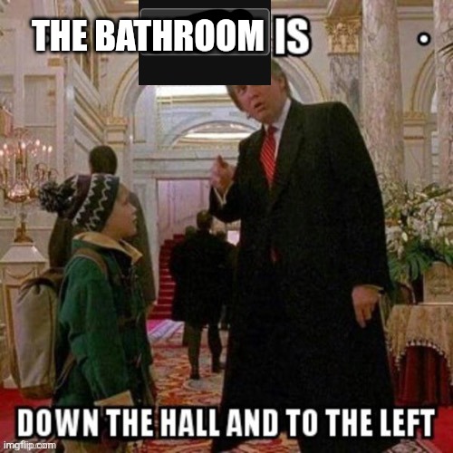 Politics is down the hall and to the left | THE BATHROOM | image tagged in politics is down the hall and to the left | made w/ Imgflip meme maker