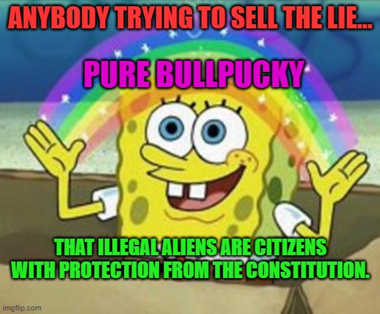 Sponge Bob | ANYBODY TRYING TO SELL THE LIE... PURE BULLPUCKY; THAT ILLEGAL ALIENS ARE CITIZENS WITH PROTECTION FROM THE CONSTITUTION. | image tagged in sponge bob | made w/ Imgflip meme maker