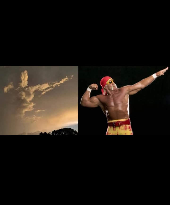 High Quality Hulk Hogan Blank Meme Template
