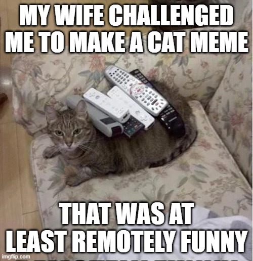 my wife challenged me to make a cat meme that was at least remotely funny. | MY WIFE CHALLENGED ME TO MAKE A CAT MEME; THAT WAS AT LEAST REMOTELY FUNNY | image tagged in funny,cats,humor,kittens,remote control,play on words | made w/ Imgflip meme maker