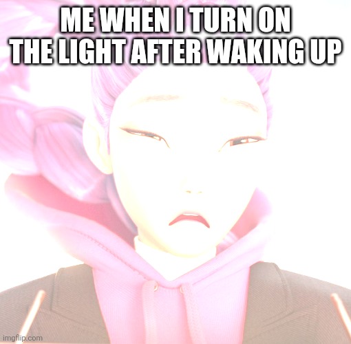 Blinded Rumi | ME WHEN I TURN ON THE LIGHT AFTER WAKING UP | image tagged in blinded rumi | made w/ Imgflip meme maker