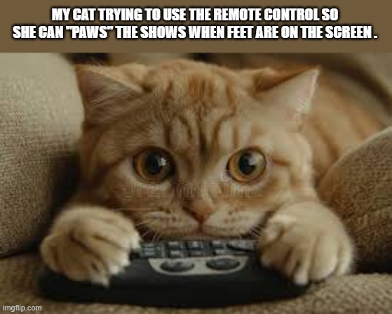 Kitten trying to use the TV remote control to paws the show when needed. | MY CAT TRYING TO USE THE REMOTE CONTROL SO SHE CAN "PAWS" THE SHOWS WHEN FEET ARE ON THE SCREEN . | image tagged in cats,funny,kittens,humor,play on words,remote control | made w/ Imgflip meme maker